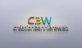 création logo sublime présentation 08